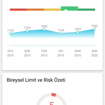 Kredi Kayıt Bürosunda Yanlış Borç Bilgisi