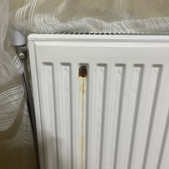 ECA Peteklerde Erken Paslanma Ve Delinme Sorunu