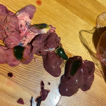 Bozuk Tavuk Ciğeri Ve İlgisiz Müşteri Hizmetleri