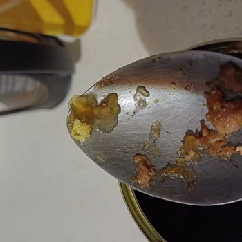 Konserve Mamadan Çıkan Larvalar Şok Etti