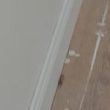 Lavinya Residence'da Hayal Kırıklığı: Sözler Tutulmadı