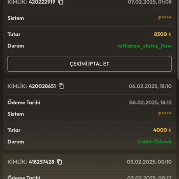 Yanlış İptal Ve Kazanç Silinmesi Sorunu