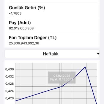 Altın Katılım Fonunda Beklenmedik Zarar