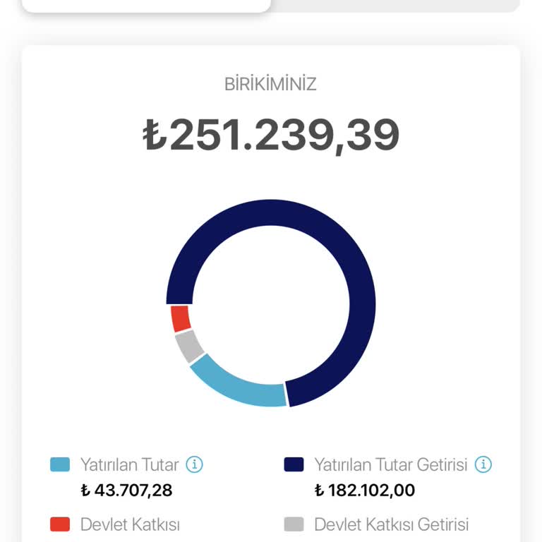 BES Altın Fonunda Ani Değer Kaybı Şoku