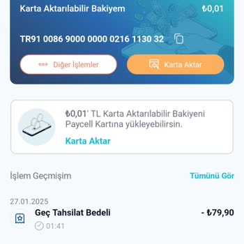Paycell Hesabımda Para Ve İşlemler Görünmüyor