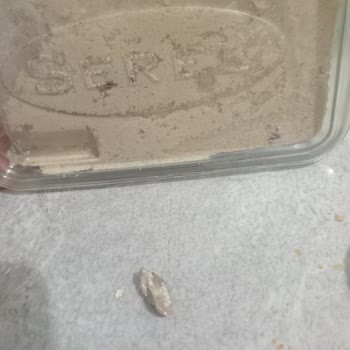 BİM Antep Fıstıklı Helvada Taş Sorunu