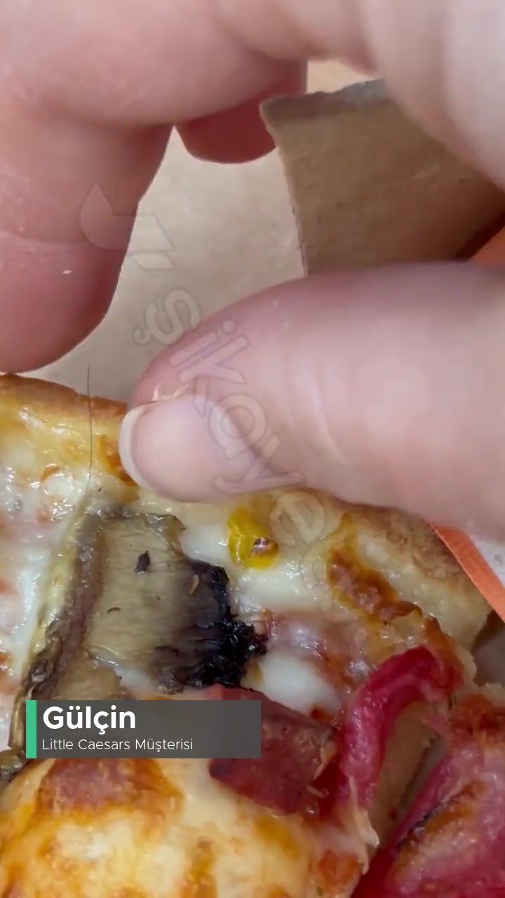 Little Caesars Pizza İçinden Kıl Çıktı! videonun kapak resmi