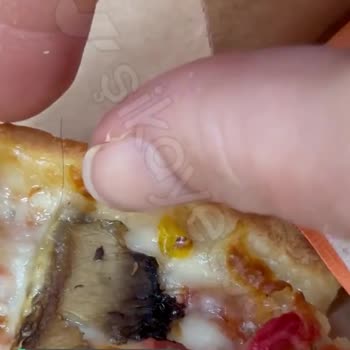 Little Caesars Pizza İçinden Kıl Çıktı!
