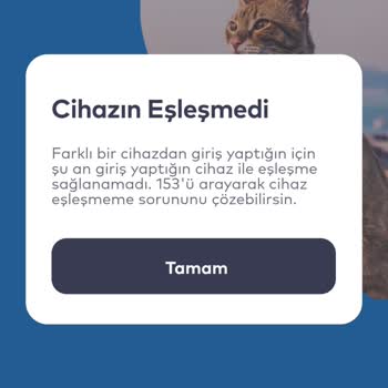 Cihaz Eşleşme Sorunu Ve Yetersiz Destek