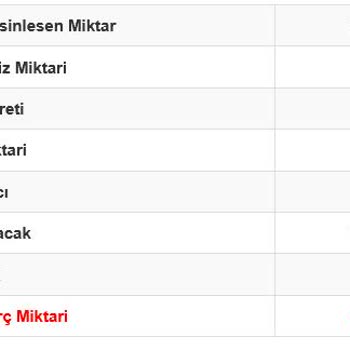 Araç Kiralama Sürecinde Yaşanan Sorunlar Ve İlgisizlik