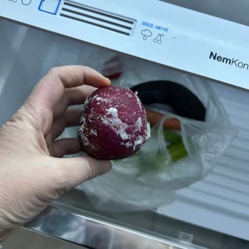 Vestel Buzdolabı Sorunu Ve Çözüm Eksikliği