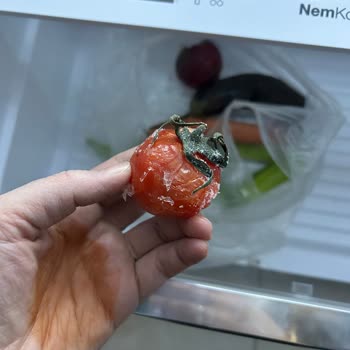 Vestel Buzdolabı Sorunu Ve Çözüm Eksikliği