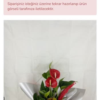 Yanlış Çiçek Teslimatı Ve İptal Sorunlarıyla Hayal Kırıklığı