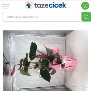 Yanlış Çiçek Teslimatı Ve İptal Sorunlarıyla Hayal Kırıklığı