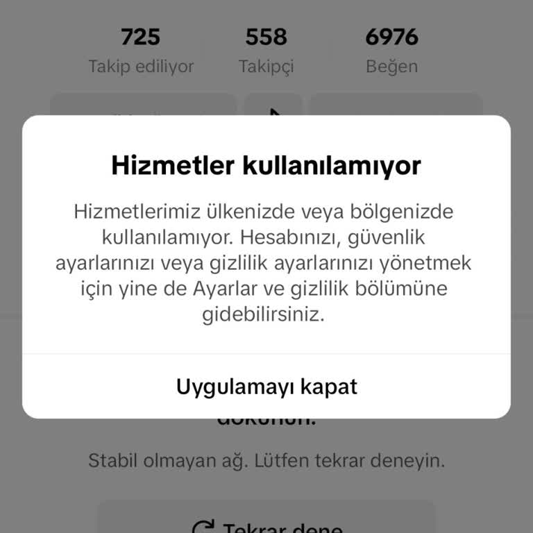 TikTok Hesabına Erişim Sorunu
