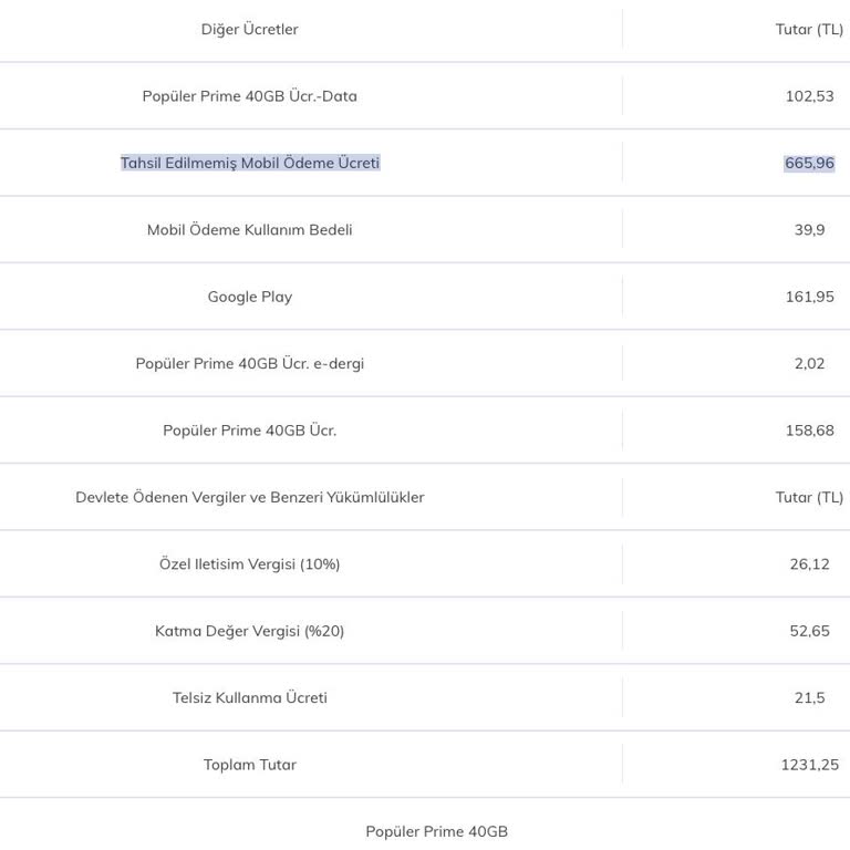 Fatura Şoku: Gelecekteki Harcama İddiası