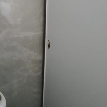 Yanıltıcı Ürün Ve Kalitesiz İşçilik