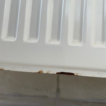 Etkisiz Servis Ve Çözülmeyen Paslanma Sorunu