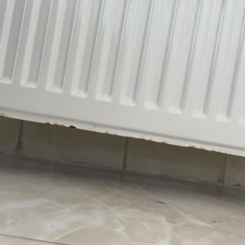 Etkisiz Servis Ve Çözülmeyen Paslanma Sorunu