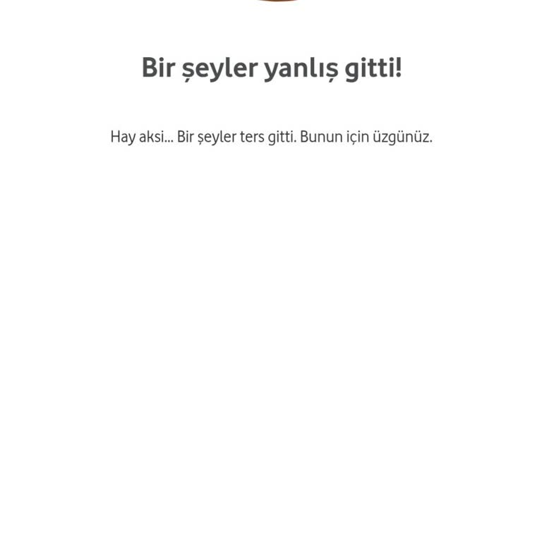 Çark Çevirme Sorunu Ve İnternet Problemi