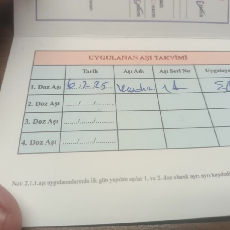 Avcılar Belediyesi Sokakta Tehlike: Saldırgan Köpekler Ve İhmalkar Yetkililer