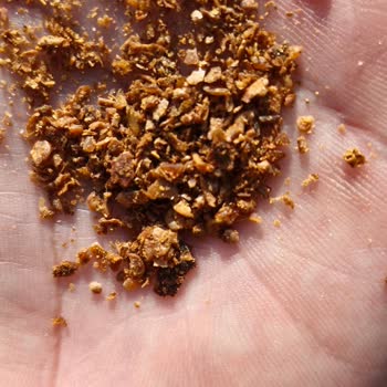 Torku Ziyafet'te Tarihi Geçmiş Pul Biber Şoku