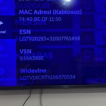 LG TV Mavi Ekran Sorunu Çözümsüz Kaldı