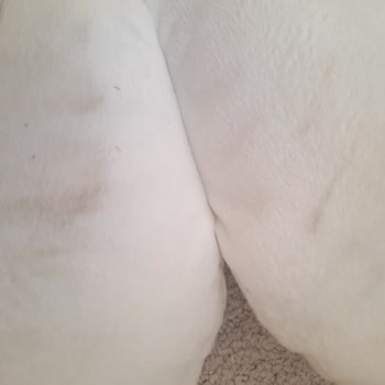 Hijyen Skandalı: IKEA'dan Ayıplı Ürün Şoku