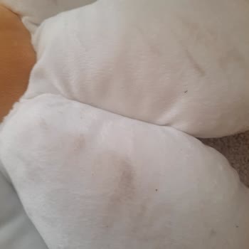 Hijyen Skandalı: IKEA'dan Ayıplı Ürün Şoku