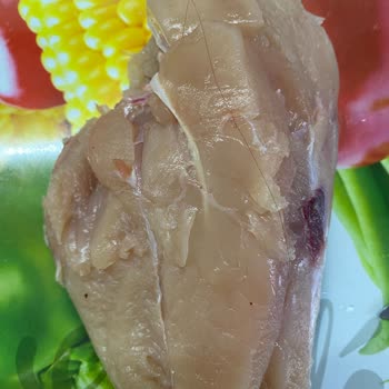 Tavukta Bulunan Uzun Saç Kılı Şoku