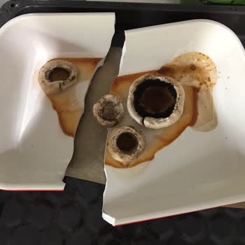Zwilling Fırın Kabı Fırında Pişirme Sırasında Ortadan Ayrıldı