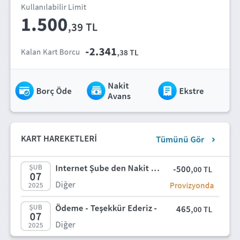 Kredi Kartı Borcu Ödemeleri Sonrası Artış Sorunu