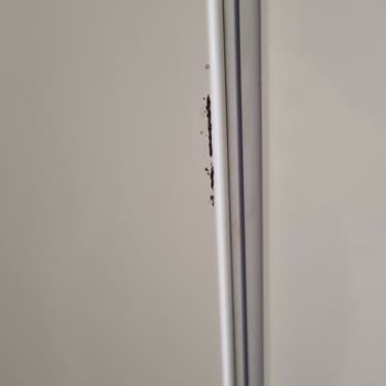 Profilo Yetkili Servisinden Aldığım Hasarlı Teslimat