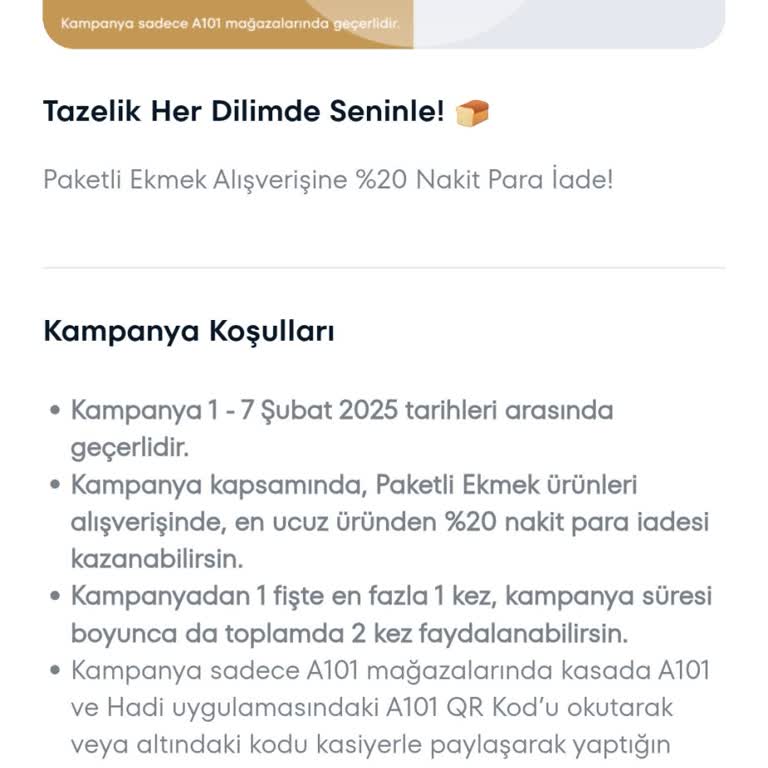 A101 Kampanya İndirimi Sorunu