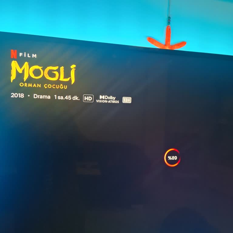 Netflix Hiç Memnun Değiliz!