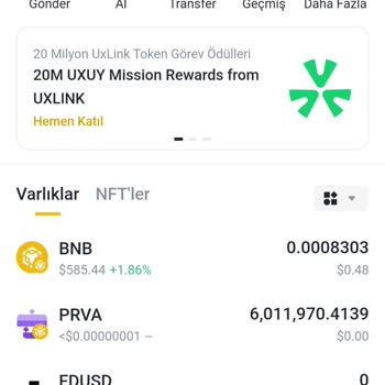 Metamask PRVA Token kann nicht verkauft werden auf Pancakeswap v3