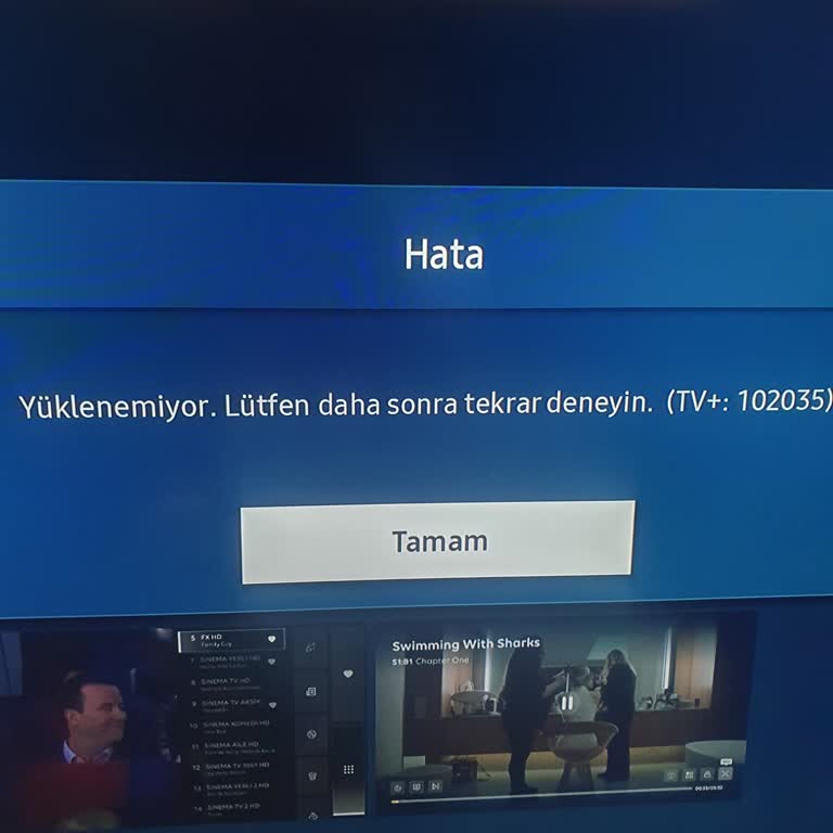 Samsung TV'de Sürekli 102035 Hatası Sorunu