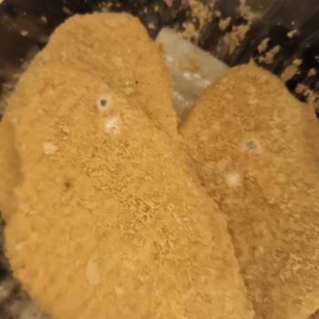 Küflü Şenpiliç Schnitzel İle Sağlık Tehlikesi