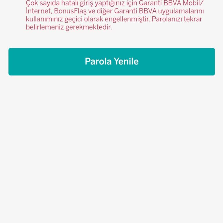Hesap Güvenliği Ve Erişim Sorunları