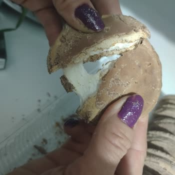 Ülker Halley Üzerinde Beyaz Tabaka Sorunu