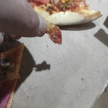 Hijyen Sorunu: Pizzadan Çıkan Kıl
