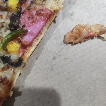 Hijyen Sorunu: Pizzadan Çıkan Kıl