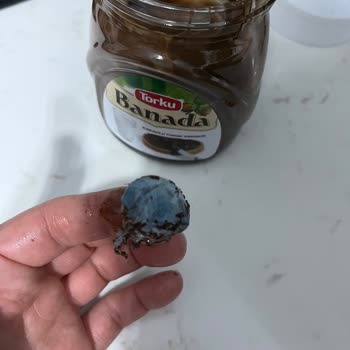 Torku Fındık Kremasında Naylon Parçası Şoku!