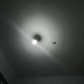 Elektrik Kesintileri Ve Vicdan Yoksunluğu