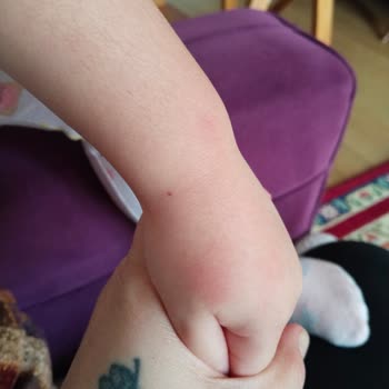 Okul İletişim Sorunları Ve Güvenlik Endişesi