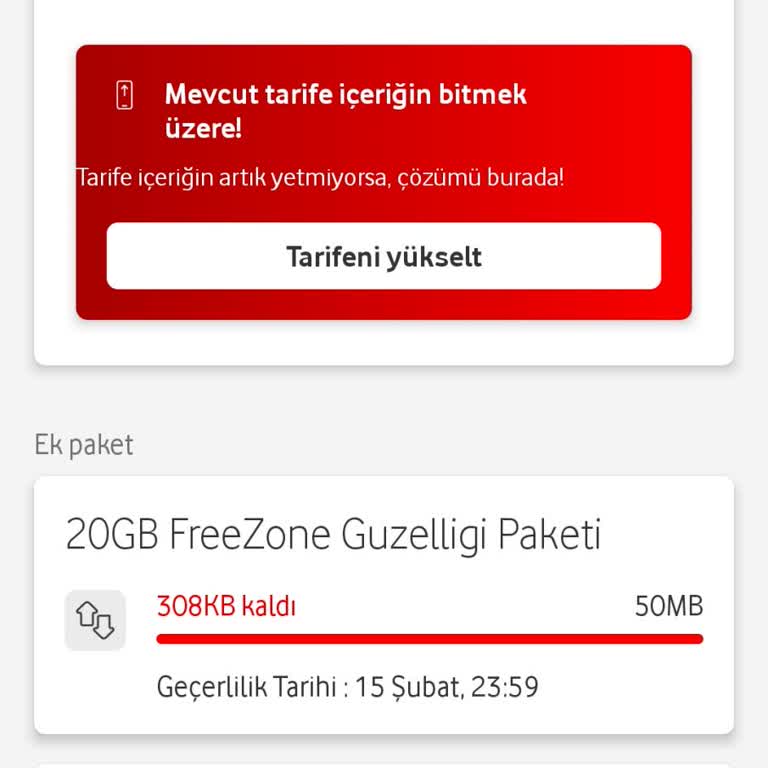 FreeZone İnternet Hakkı Sorunu