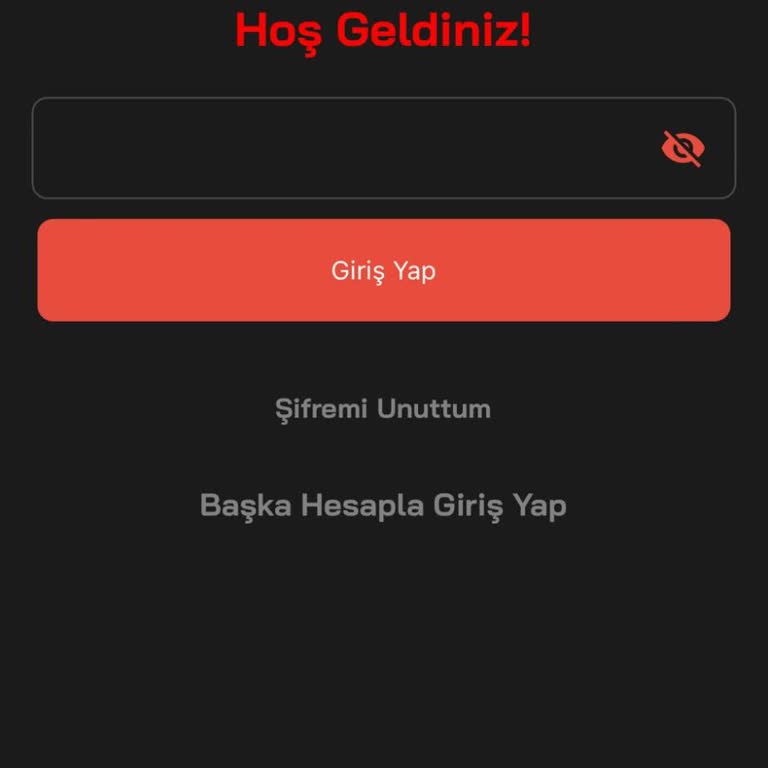Blokeli Hesap Ve Erişim Sorunu: Paramı Geri Almak İçin Yardım Bekliyorum