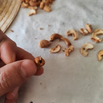 Migros'tan Aldığım Kaju Fıstığı Küflenmiş Ve Kurtlanmış Çıktı