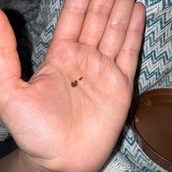 Dondurmada Ceviz Kabuğu Sürprizi