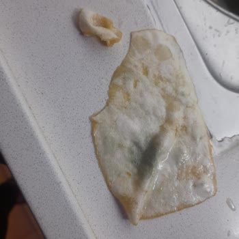 Migros Meyve Suyunda Küf Ve Tortu Şoku